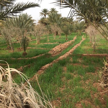 Le Sauvage Noble Hotel Zagora Kültér fotó